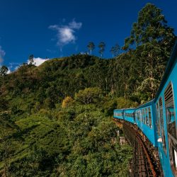 Blue train in Sri Lanka, panorama. Train from Ella in Nuwara Eliya in Sri Lanka island