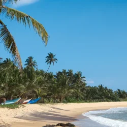 Palm-fringed sandy beach with turquoise sea in Sri Lanka