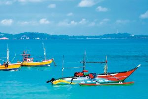 negombo_colorful_fishing_boats