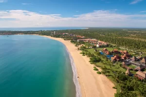 shutterstock_1731749395